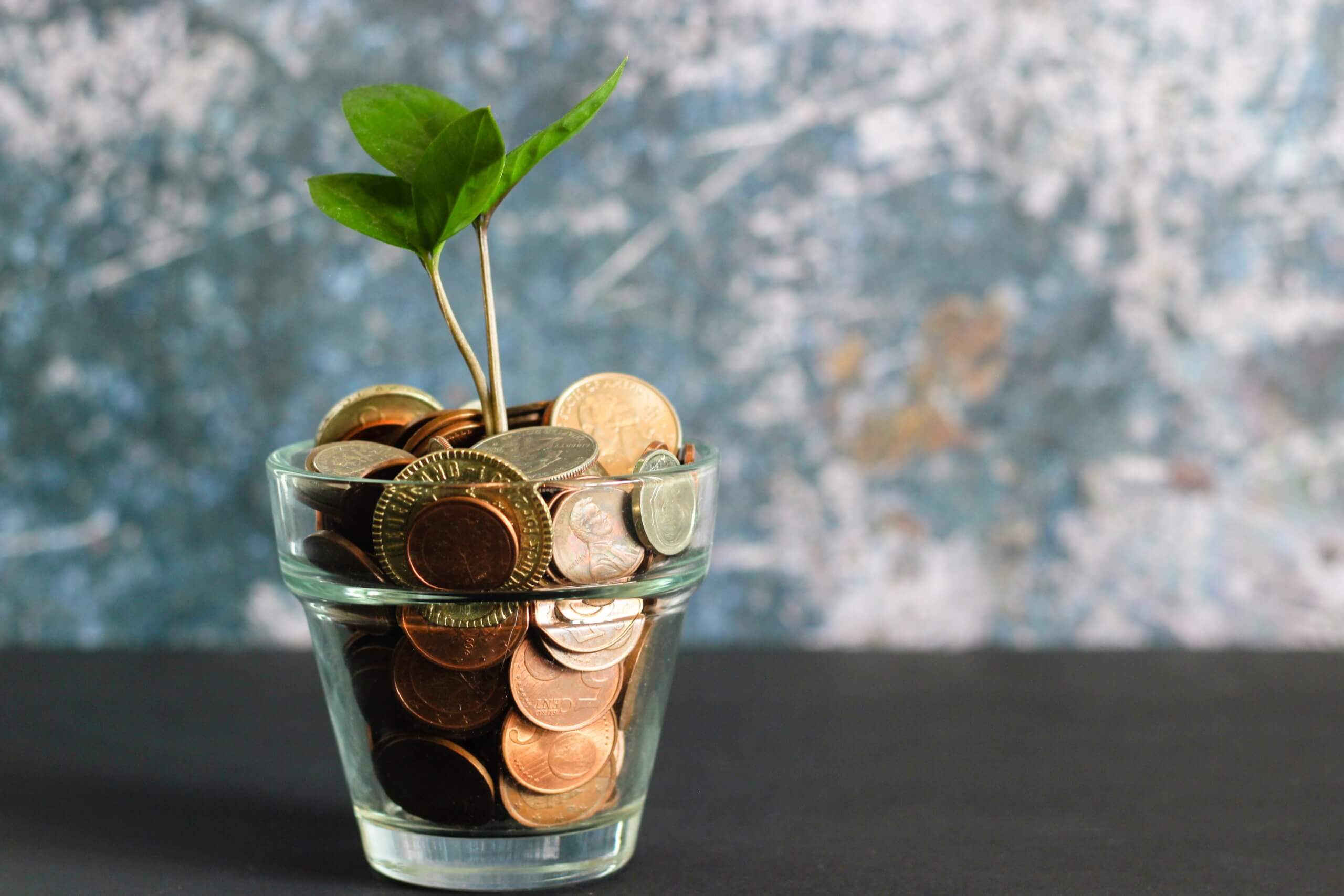 Jar of coins with a plant growing out of it